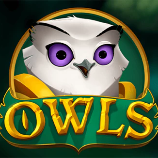 Owls